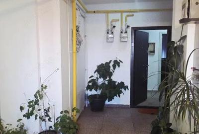 Apartament cu 3 camere decomandat în Valea Lupului - 10