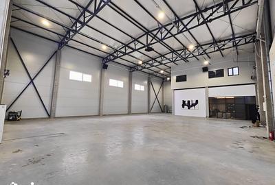 Spațiu comercial, de 600 mp, în Bartolomeu - 2