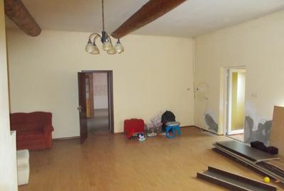 Casa batraneasca,  parter,  Dudestii Noi, 5 camere, teren 870mp - 9