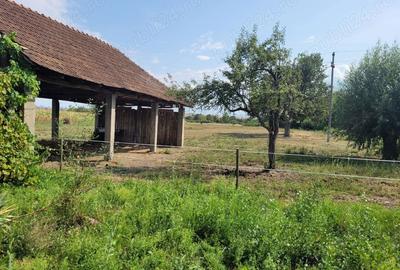 Casă în Topa de Criș - 1