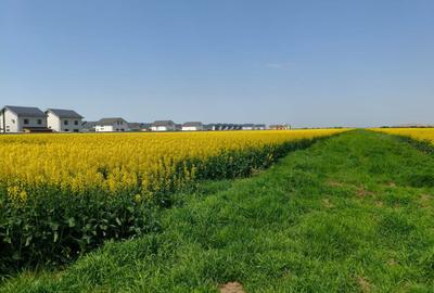 Teren Construcții intravilan de 469 mp, în Vidra - 5