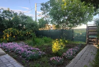 Casă individuală cu 5 camere cu Teren 417 Mp în Berceni - 19