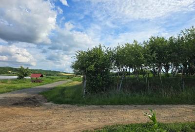 Teren de 2834 mp, în Fegernic - 5
