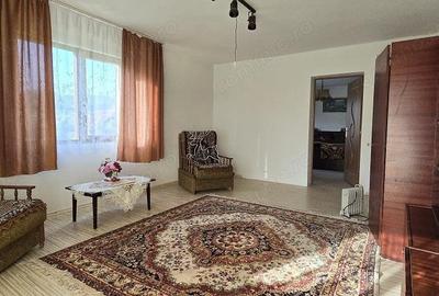 Casă cu 5 camere cu Teren 2763 Mp în Băița - 13