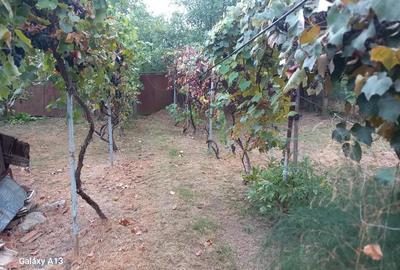 BRASADAS vinde casa 3 cam. zona Unirii teren 550mp. - 6