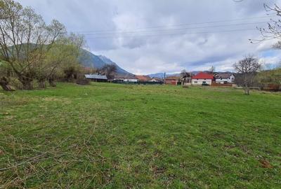 Teren Intravilan Tohanita - 2