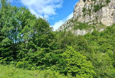 Spațiu comercial, în Central - 1