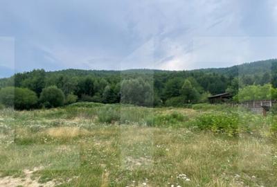 Spațiu comercial, de 994 mp, în Ghelința - 8