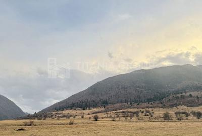 Teren de 2548 mp, în Zărnești - 5