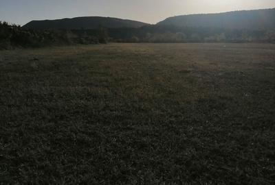 Teren de 3200 mp, în Bănești - 6