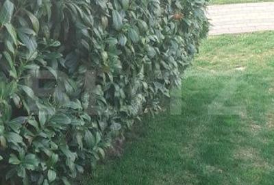 Casă cu 4 camere în Sud - 3