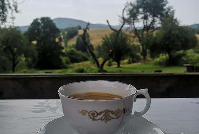 Casă cu 6 camere în Brebu - 6