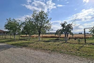 Teren de 1500 mp, în Nojorid - 1