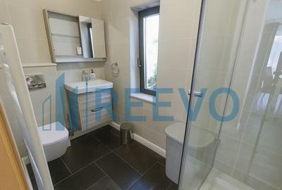 Proprietate pentru investi?ie cu Piscina in Hemeiu? - 3