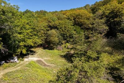 Terenuri 12.225 mp - Ramnicu Valcea, Aranghel - 7