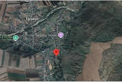 Teren de 2112 mp, în Târpești - 4