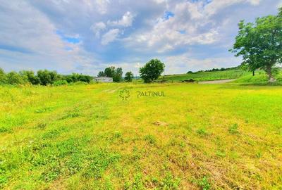 Teren intravilan 717 mp - Sura Mare, Sibiu - 2