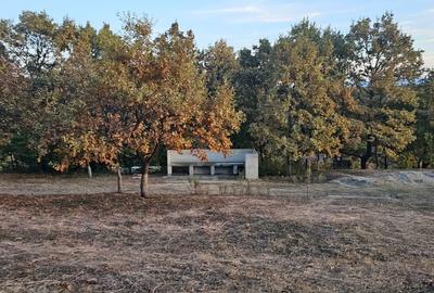 Teren de 5400 mp, în Șpring - 6
