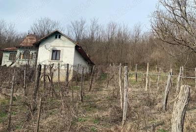 Casă cu 6 camere în Melinești - 2