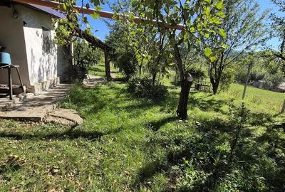 Teren intravilan in zona Sarma? - 9