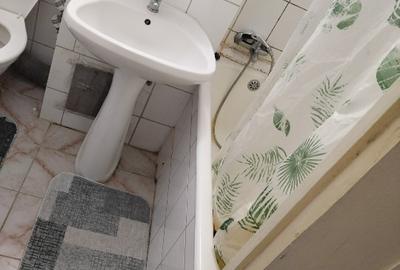 Apartament cu 3 camere semidecomandat în Dacia - 9