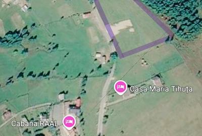 Teren de 80000 mp, în Piatra