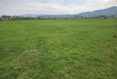 Teren Construcții intravilan de 13377 mp, în Est - 5