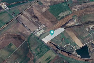 Teren agricol extravilan de 50000 mp, în Exterior Vest - 2