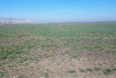 Teren de 22756 mp, în Vânători - 4