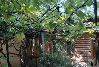 Casă cu 3 camere în Chitila - 7