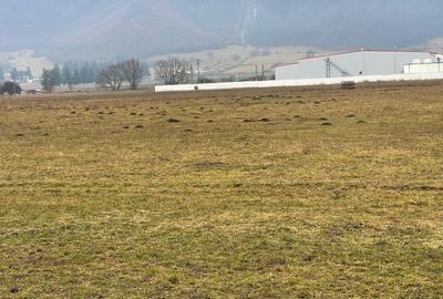 Teren Construcții intravilan de 11500 mp, în Bartolomeu - 1