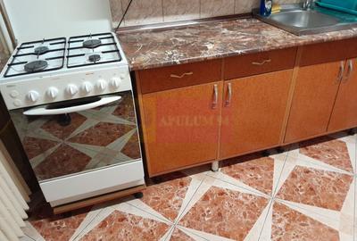 Inchiriere 2 cam Valea lunga - 400 eur - 27