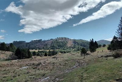 Teren  cu ape curgatoare, in zona de poveste, Zarnesti