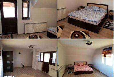 Casă cu 3 camere cu Teren 3000 Mp în Slătioara - 18