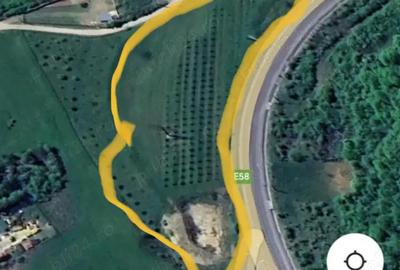 Teren de 12300 mp, în Crainimăt - 8