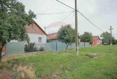 Casă cu 3 camere cu Teren 3205 Mp în Sânnicolau Român - 5