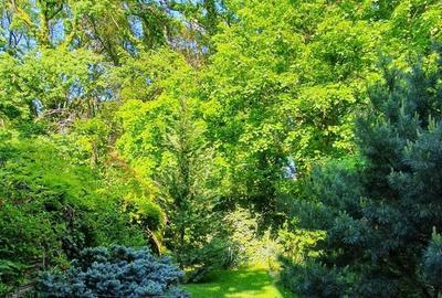 Casă individuală cu 5 camere cu Canalizare în Băneasa - 16