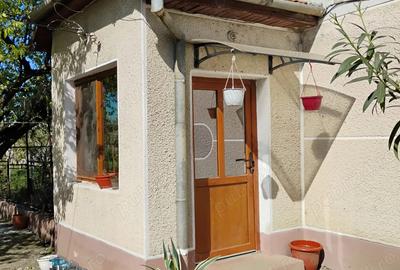 Casă cu 3 camere cu Teren 1000 Mp în Utvin - 6