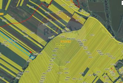 Teren extravilan de 10791 mp, în Fălticeni - 4