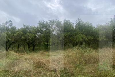 Teren cu poten?ial reziden?ial Simeria, Sfantu Gheorg - 2