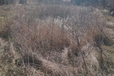 Casă cu 3 camere în Central - 3