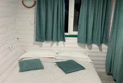 Casă individuală cu 8 camere cu Canalizare în Molid - 18