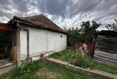 Teren Construcții intravilan de 1078 mp, în Ianova - 16