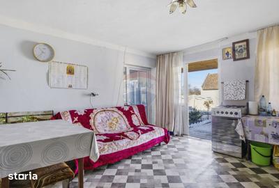 Casă cu 3 camere cu Teren 1439 Mp în Secusigiu - 11