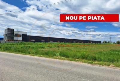 Teren industrial de vanzare - Ștefanesti, Strada Sticlelor