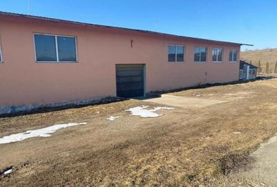 Hala de inchiriat,500 mp,zona Slobozia Sucevei - 5