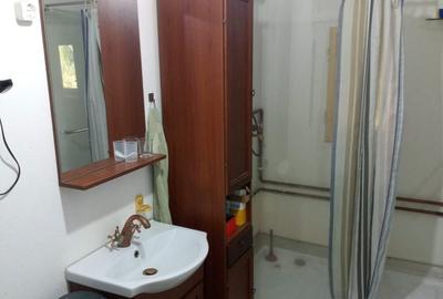 Teren de 56000 mp, în Arieșeni - 14