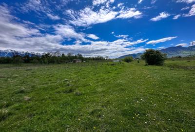 Teren Bran Zarnesti 3 km Castelul Bran 25 km Brasov Teren Bran Zarnesti 3 km Castelul Bran 25 km Brasov - 3