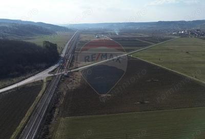 Teren de 19319 mp, în Hoghilag - 11