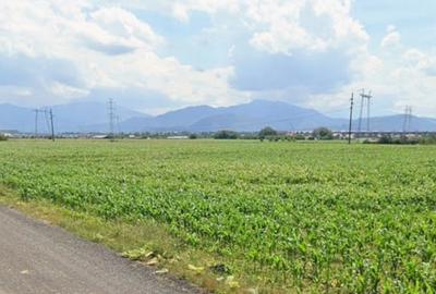 Loturi de casa 518mp cu utilitati, zona Primaverii, Sanpetru - 1